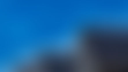 Balancing Responsibilities: Using Diald to Manage Market Volatility and Optimize Investments