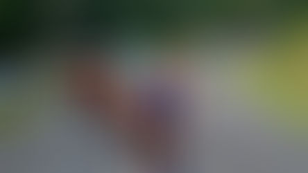 Staying Ahead in Real Estate: The Power of Expert-Curated News